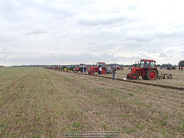 aP9284515.jpg