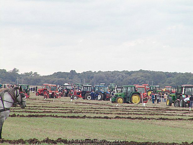 aP9284576.jpg