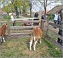 DSC_8593.JPG