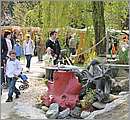 DSC_8816.JPG