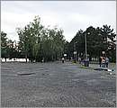 DSC_8643.JPG