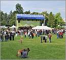 DSC_3826.JPG