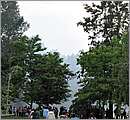 DSC_4333.JPG