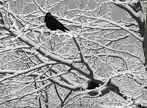 Image67.jpg