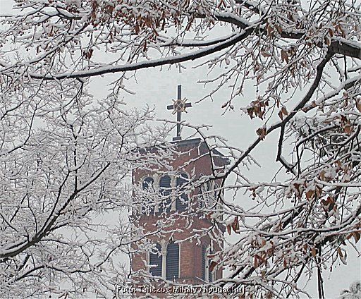 Image70.jpg