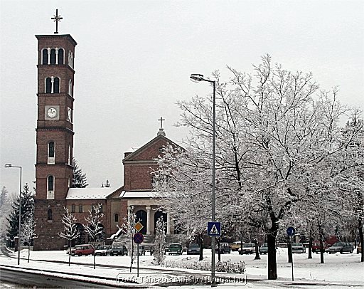 Image71.jpg