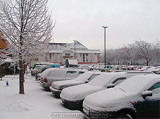Image73.jpg