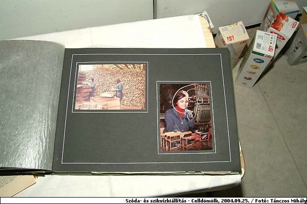DSCF5384.jpg
