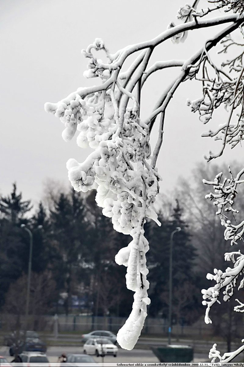 DSC_8601.JPG