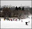 DSC_8474.JPG
