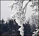 DSC_8601.JPG