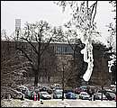 DSC_8602.JPG