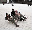 DSC_8735.JPG