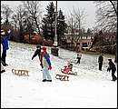 DSC_8825.JPG