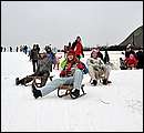 DSC_8837.JPG