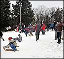 DSC_8855.JPG
