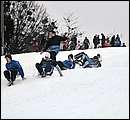 DSC_9083.JPG