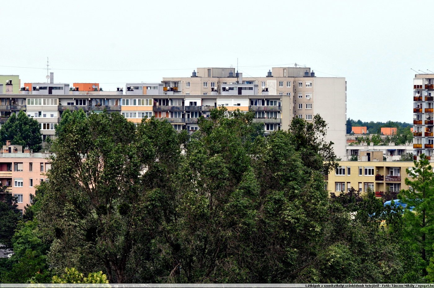 wDSC_4940.JPG