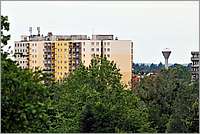 wDSC_4941.JPG