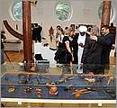DSC_4083.JPG