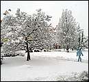 DSCF2342_TELSZH.jpg