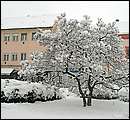 DSCF2344.jpg
