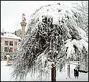 DSCF2349_TELSZH.jpg