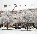 DSCF2350_TELSZH.jpg