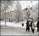 DSCF2353_TELSZH.jpg