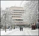 DSCF2359_TELSZH.jpg