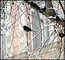 DSCF2363.jpg