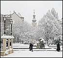 DSCF2368.jpg