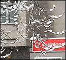 DSCF2374.jpg