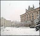 DSCF2389.jpg