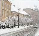 DSCF2395.jpg