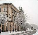 DSCF2415_TELSZH.jpg