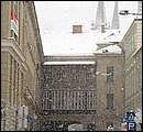 DSCF2417.jpg