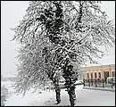 DSCF2425_TELSZH.jpg