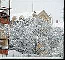 DSCF2428.jpg