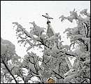 DSCF2434.jpg