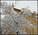 DSCF2442.jpg