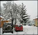 DSCF2445.jpg