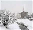 DSCF2487.jpg