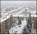 DSCF2502.jpg