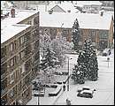 DSCF2508.jpg