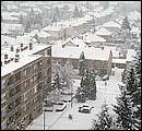 DSCF2511.jpg