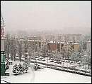 DSCF2512.jpg