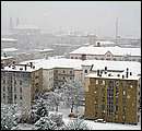 DSCF2513.jpg