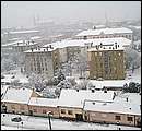 DSCF2514.jpg