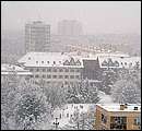 DSCF2516.jpg